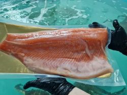 Форель радужная филе малосол (на коже, мороженое) 1,3-2 кг тушка