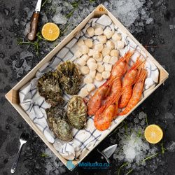 Набор № 12 Набор № 12