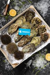 Набор микс - устрицы и морские ежи