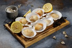 Гребешок свежемороженный на створке