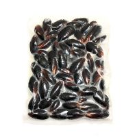 Мидии в створках варено-мороженные