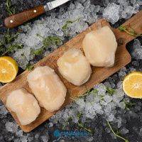 Филе гребешка ПРЕМИУМ (10-20 шт в кг)
