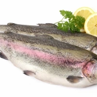 Форель радужная (0,8 кг)