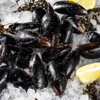 Мидии в створках варено-мороженные