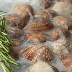 Вонголе варено-мороженое (0,5 кг) Вонголе варено-мороженое (0,5 кг)