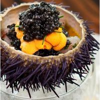 Еж морской (более 130 гр)