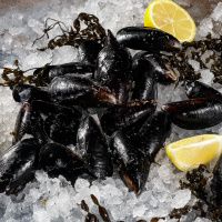 Мидии в створках варено-мороженные