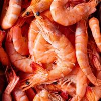 Креветка Магаданская