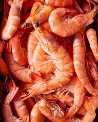 Креветка Магаданская