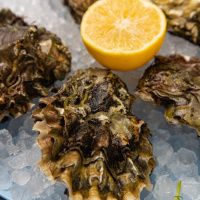 Набор с устрицей Хасанская