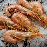 Лангустины №2