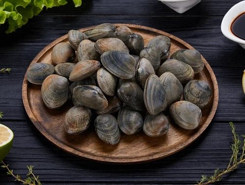 Вонголе в раковине