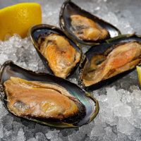 Мидии на полустворке