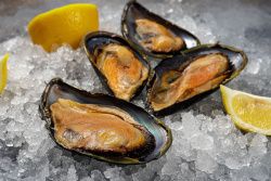 Мидии на полустворке Мидии на полустворке