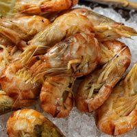 Креветка медвежонок-шримс