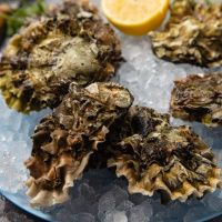 Набор с устрицей Хасанская крупная