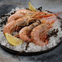 Лангустины №3