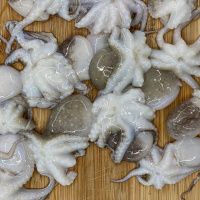 Осьминог мини (40/60 шт)